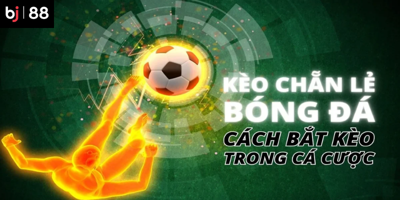 Theo dõi và điều chỉnh chiến thuật