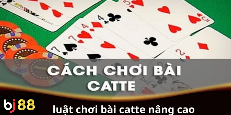 Luật Chơi Bài Catte Nâng Cao: Hướng Dẫn Cho Người Chơi 2 Luật chơi bài Catte nâng cao cho người chơi chuyên nghiệp