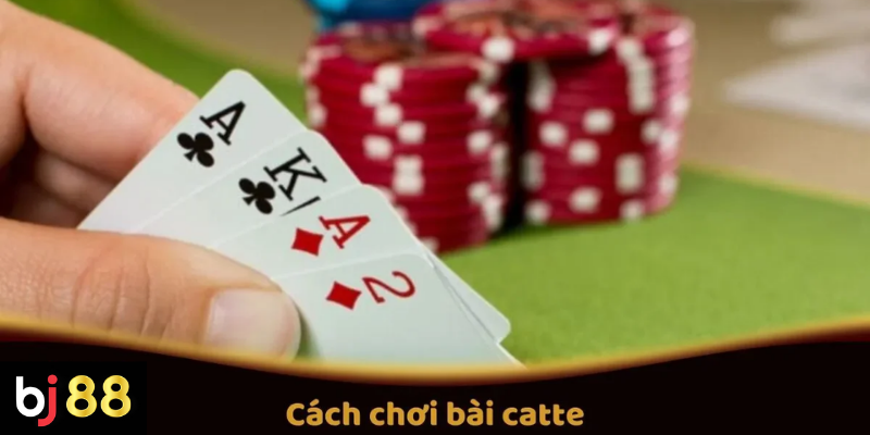 C&aacute;ch Chơi B&agrave;i Catte Tr&ecirc;n BJ88: Quy Tắc V&agrave; Mẹo Thắng