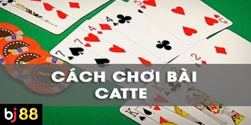 C&aacute;c T&igrave;nh Huống Chiến Thắng Trong B&agrave;i Catte