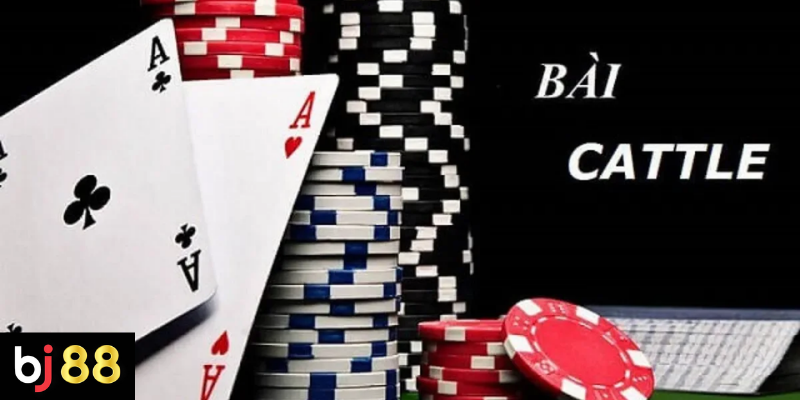 Những Lưu Ý Khi Chơi Bài Catte Trên BJ88