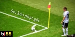 Lựa chọn nhà cái uy tín
