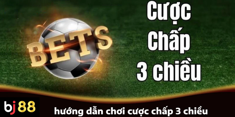 Hướng dẫn chơi cược chấp 3 chiều cơ bản cho người mới