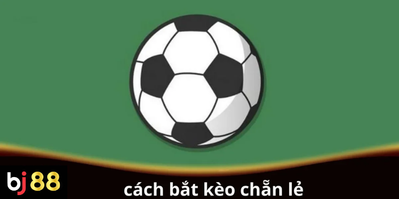 Cách bắt kèo chẵn lẻ cho người chơi mới