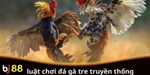 Luật chơi đá gà tre truyền thống cho người mới