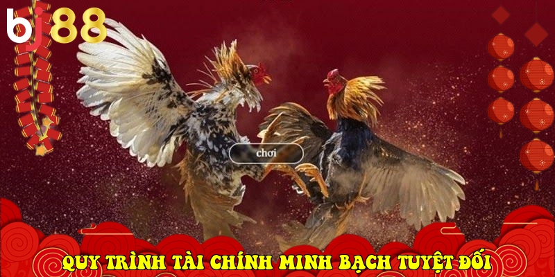 quy tr&igrave;nh t&agrave;i ch&iacute;nh minh bạch tuyệt đối